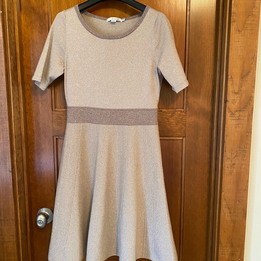 Boden Shimmering champagne Aline dress